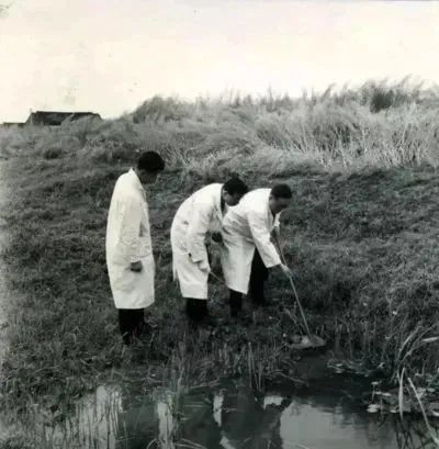 WDCM上传图片