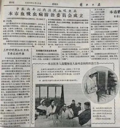 WDCM上传图片