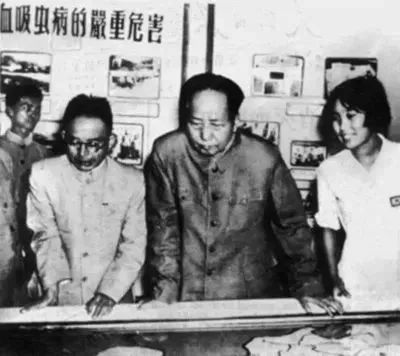 WDCM上传图片
